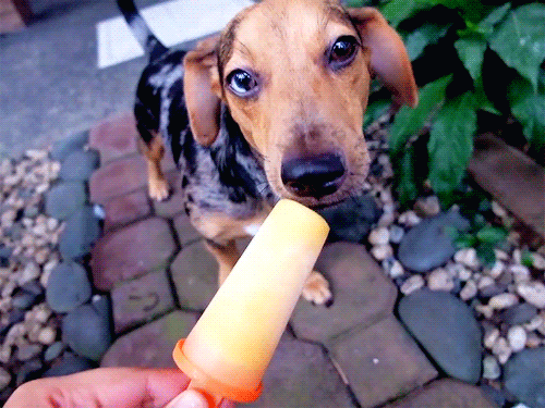 marbles-approves