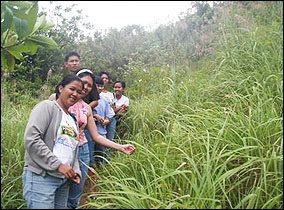 pics