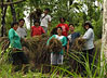 Head Office staff visits Citronella Farming Community