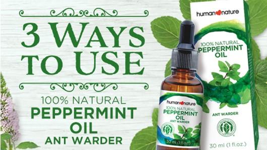 3 Ways to Use Your Peppermint Oil Ant Warder