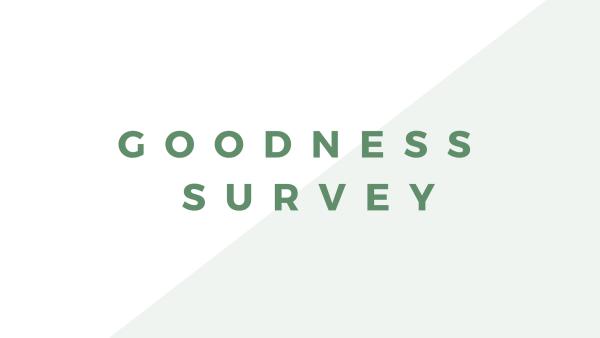 Goodness Survey: March 2022 New Product