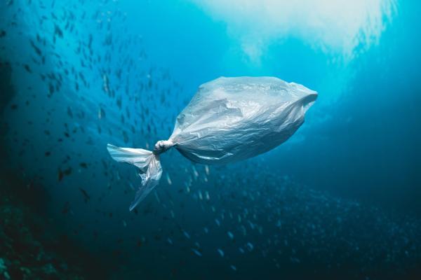 Beneath the Waves: A Freediver's Call to Action on Plastic Pollution