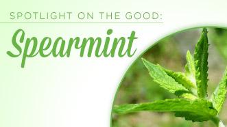 3 Reasons to Smile About Spearmint!