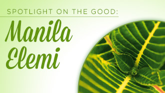 The Beauty Behind Manila Elemi Magic