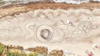 Choose to Celebrate Our Oceans