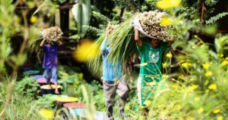 6 Traits of a True Social Enterprise