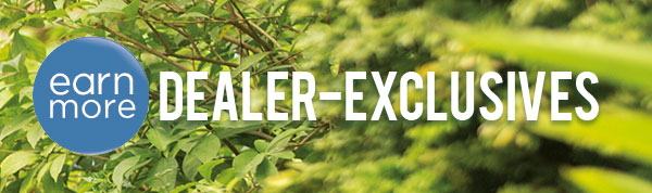 Dealer-Exclusives