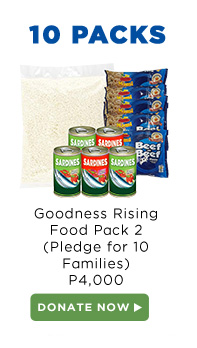 Food Pack 2 - Pledge for 10 families