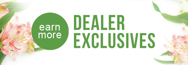 Dealer-Exclusives