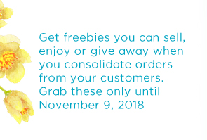 Get freebies you can sell, enjoy or give away when you consolidate orders from your customers. Grab these only until November 9, 2018!